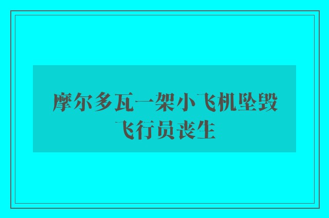 摩尔多瓦一架小飞机坠毁　飞行员丧生