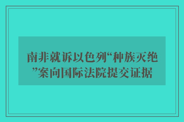 南非就诉以色列“种族灭绝”案向国际法院提交证据