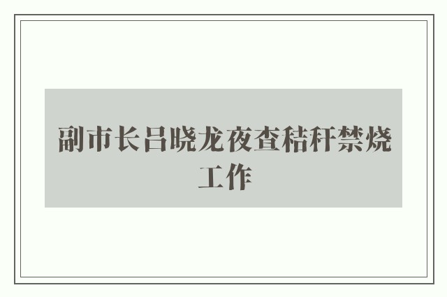 副市长吕晓龙夜查秸秆禁烧工作