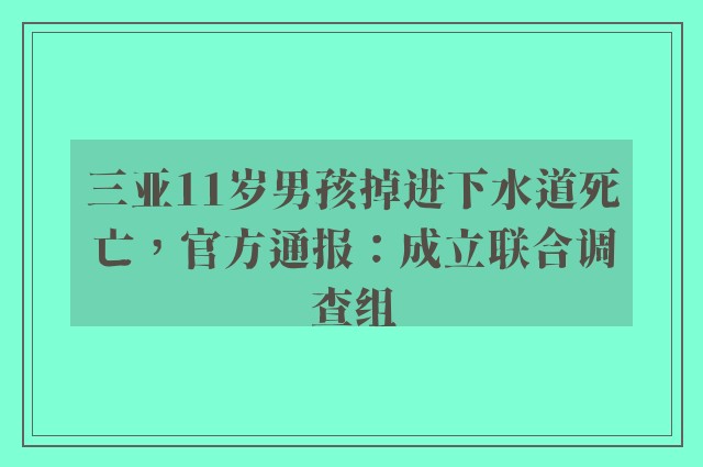 三亚11岁男孩掉进下水道死亡，官方通报：成立联合调查组