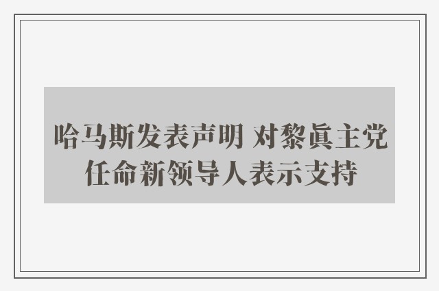 哈马斯发表声明 对黎真主党任命新领导人表示支持