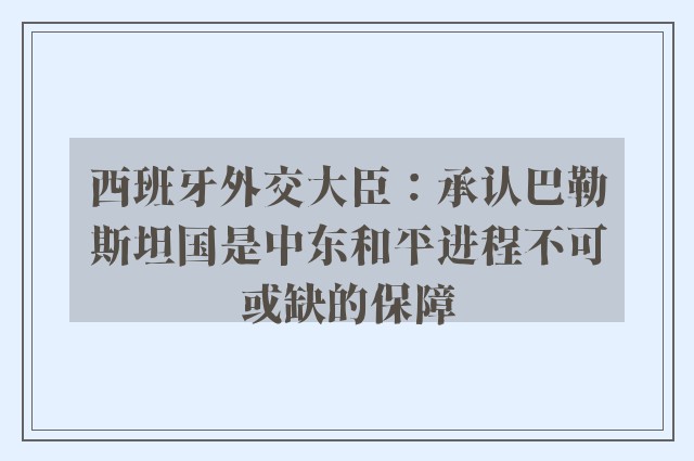 西班牙外交大臣：承认巴勒斯坦国是中东和平进程不可或缺的保障