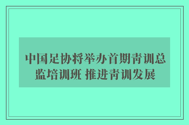 中国足协将举办首期青训总监培训班 推进青训发展