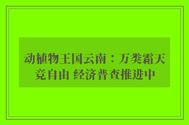 动植物王国云南：万类霜天竞自由 经济普查推进中