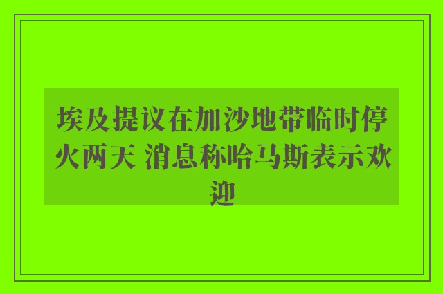 埃及提议在加沙地带临时停火两天 消息称哈马斯表示欢迎