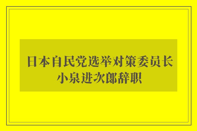 日本自民党选举对策委员长小泉进次郎辞职