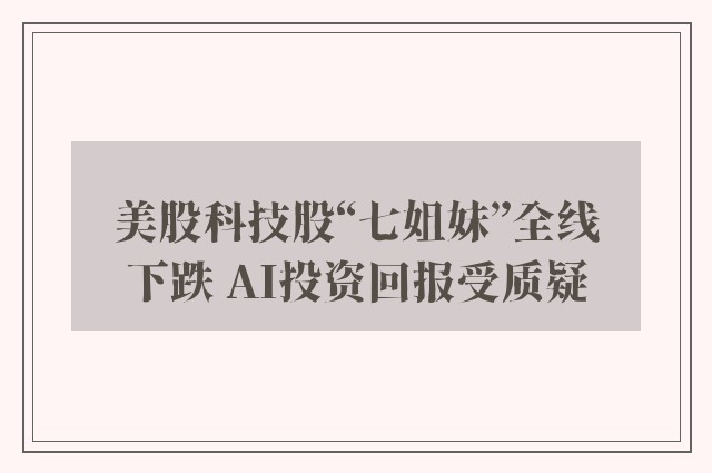 美股科技股“七姐妹”全线下跌 AI投资回报受质疑