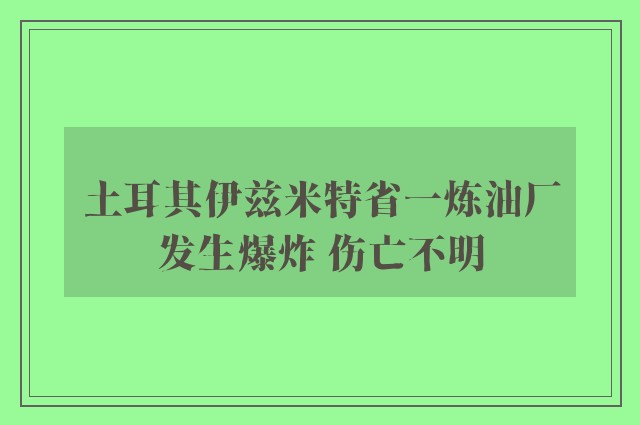 土耳其伊兹米特省一炼油厂发生爆炸 伤亡不明