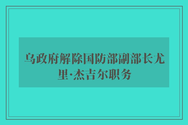 乌政府解除国防部副部长尤里·杰吉尔职务