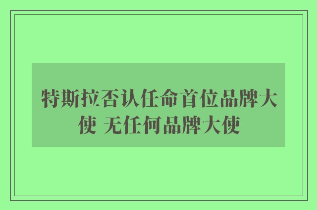 特斯拉否认任命首位品牌大使 无任何品牌大使