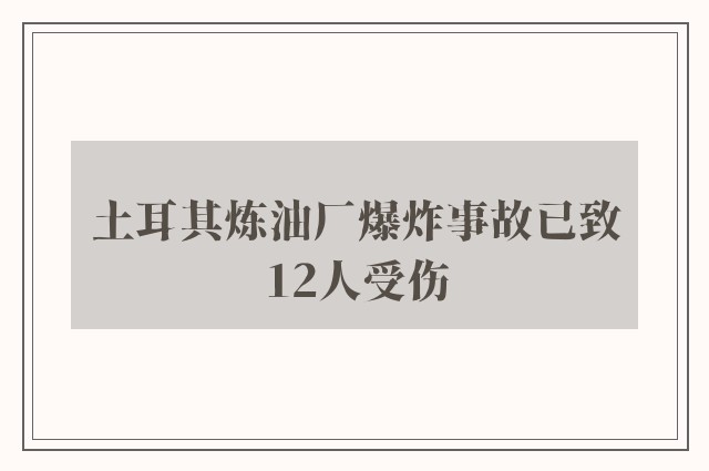 土耳其炼油厂爆炸事故已致12人受伤