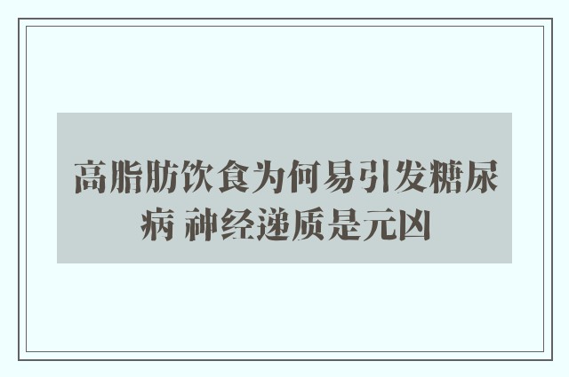 高脂肪饮食为何易引发糖尿病 神经递质是元凶