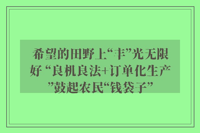 希望的田野上“丰”光无限好 “良机良法+订单化生产”鼓起农民“钱袋子”