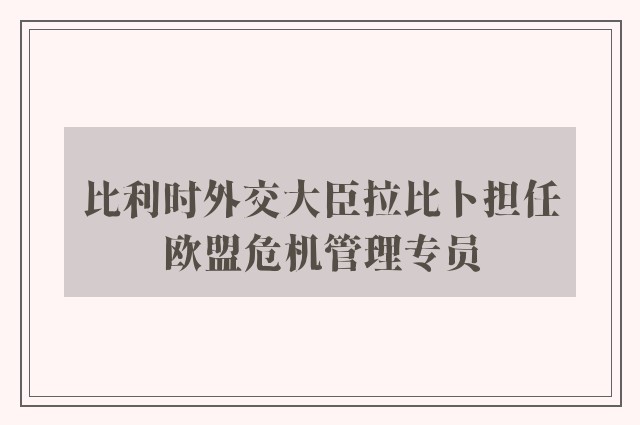 比利时外交大臣拉比卜担任欧盟危机管理专员