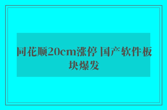 同花顺20cm涨停 国产软件板块爆发