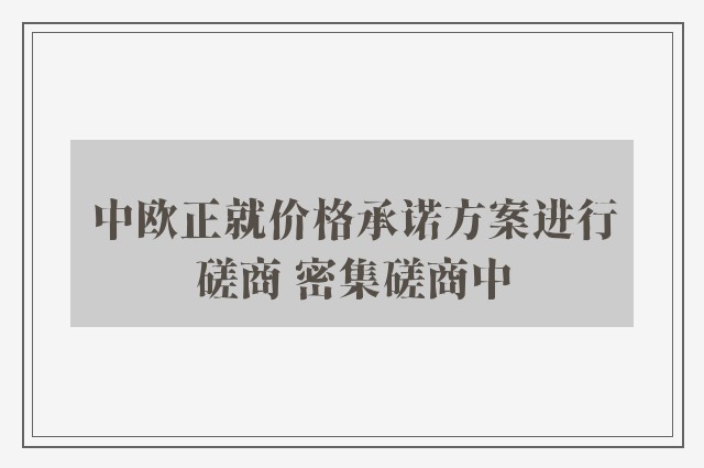 中欧正就价格承诺方案进行磋商 密集磋商中