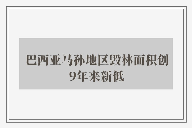 巴西亚马孙地区毁林面积创9年来新低