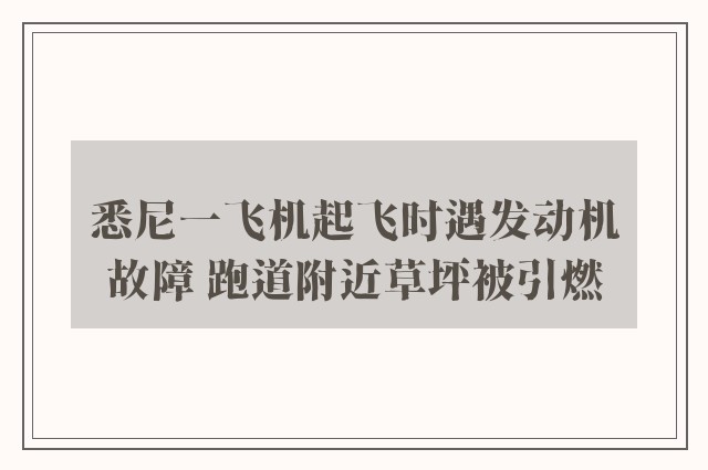 悉尼一飞机起飞时遇发动机故障 跑道附近草坪被引燃