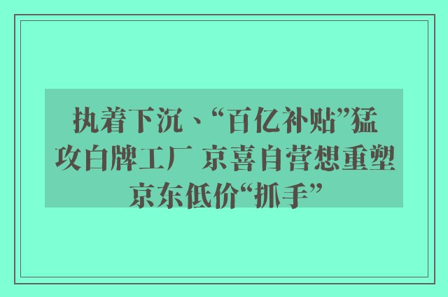 执着下沉、“百亿补贴”猛攻白牌工厂 京喜自营想重塑京东低价“抓手”