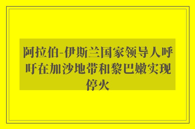 阿拉伯-伊斯兰国家领导人呼吁在加沙地带和黎巴嫩实现停火