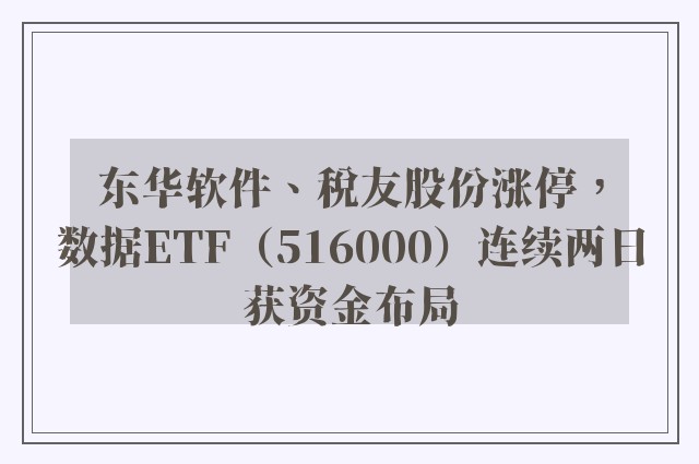 东华软件、税友股份涨停，数据ETF（516000）连续两日获资金布局