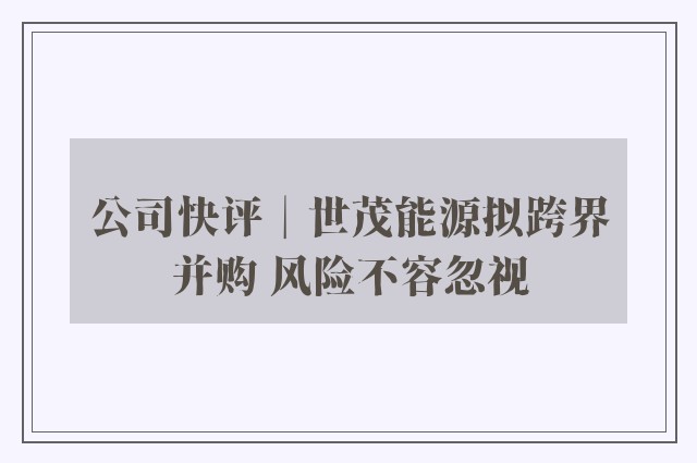 公司快评︱世茂能源拟跨界并购 风险不容忽视