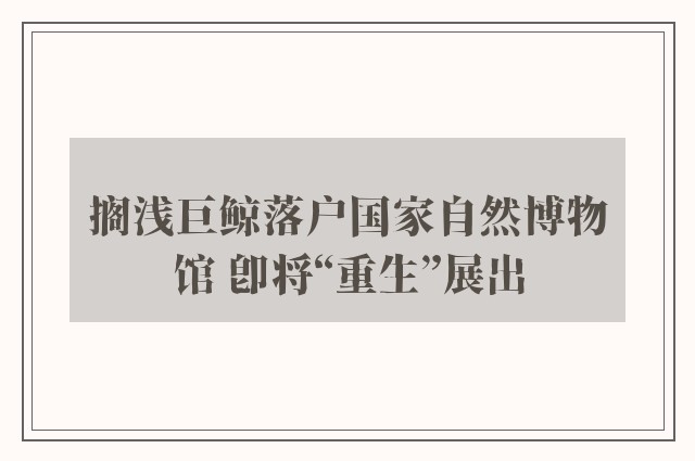 搁浅巨鲸落户国家自然博物馆 即将“重生”展出