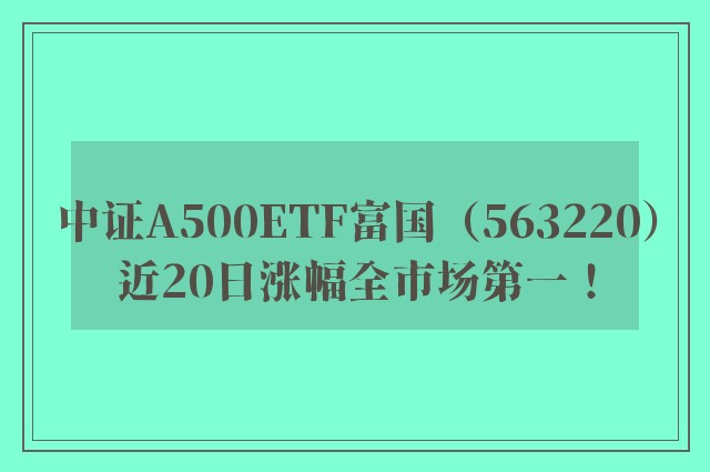 中证A500ETF富国（563220）近20日涨幅全市场第一！