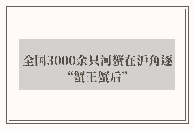 全国3000余只河蟹在沪角逐“蟹王蟹后”