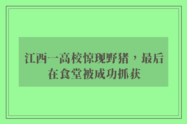 江西一高校惊现野猪，最后在食堂被成功抓获