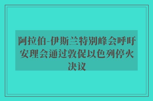 阿拉伯-伊斯兰特别峰会呼吁安理会通过敦促以色列停火决议