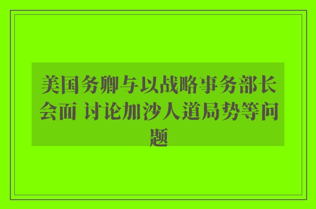 美国务卿与以战略事务部长会面 讨论加沙人道局势等问题