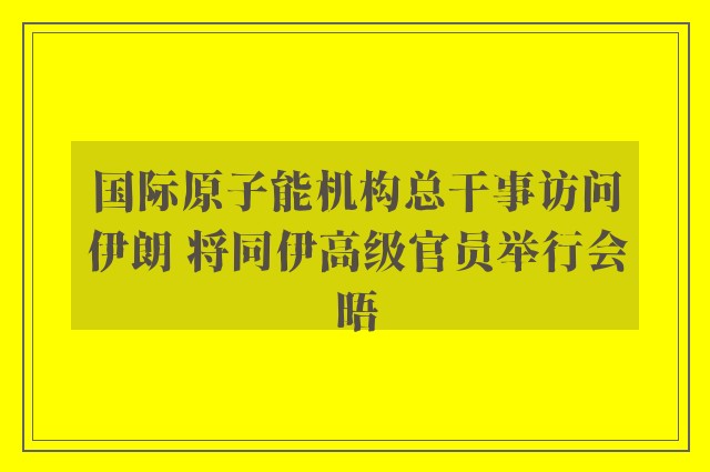 国际原子能机构总干事访问伊朗 将同伊高级官员举行会晤