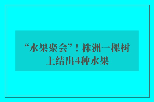 “水果聚会”！株洲一棵树上结出4种水果