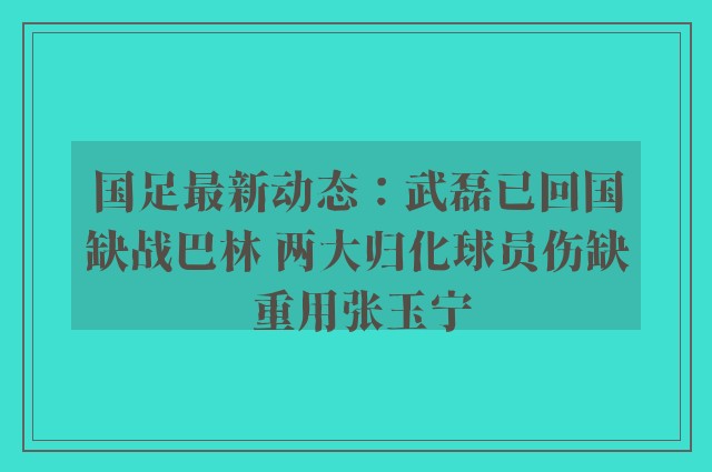 国足最新动态：武磊已回国缺战巴林 两大归化球员伤缺 重用张玉宁