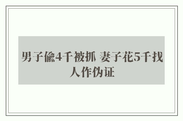 男子偷4千被抓 妻子花5千找人作伪证