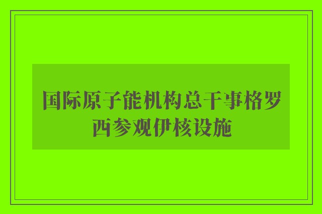 国际原子能机构总干事格罗西参观伊核设施