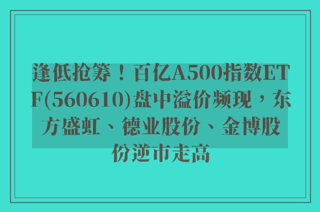 逢低抢筹！百亿A500指数ETF(560610)盘中溢价频现，东方盛虹、德业股份、金博股份逆市走高