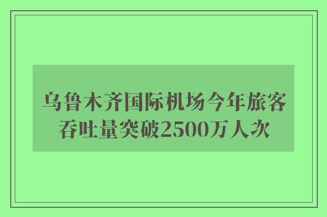 乌鲁木齐国际机场今年旅客吞吐量突破2500万人次