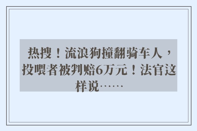 热搜！流浪狗撞翻骑车人，投喂者被判赔6万元！法官这样说……