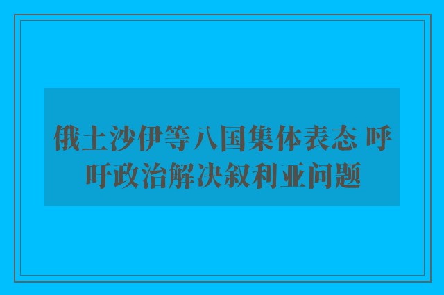 俄土沙伊等八国集体表态 呼吁政治解决叙利亚问题