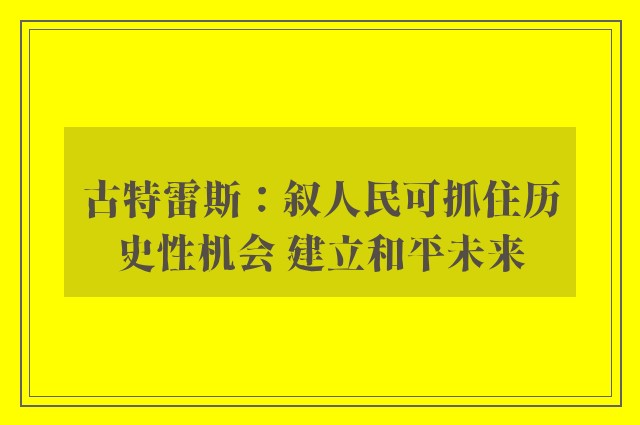 古特雷斯：叙人民可抓住历史性机会 建立和平未来