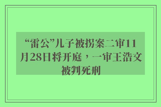 “雷公”儿子被拐案二审11月28日将开庭，一审王浩文被判死刑