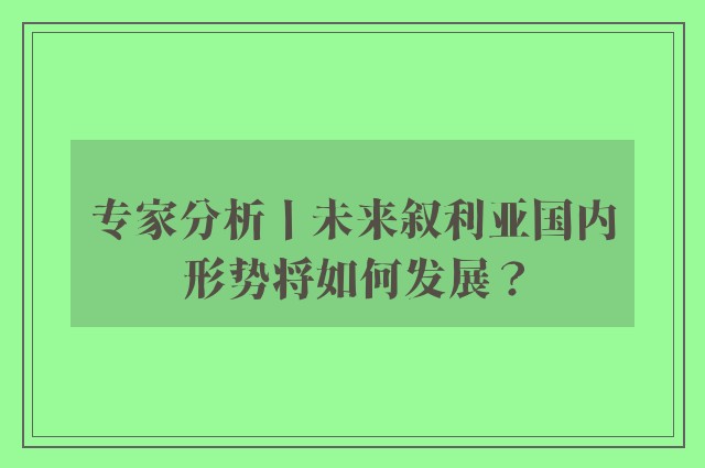 专家分析丨未来叙利亚国内形势将如何发展？