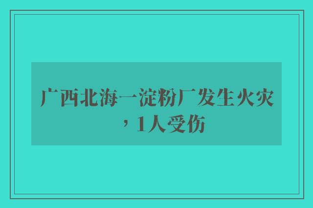 广西北海一淀粉厂发生火灾，1人受伤