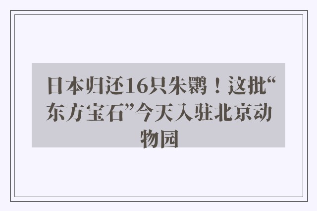 日本归还16只朱鹮！这批“东方宝石”今天入驻北京动物园