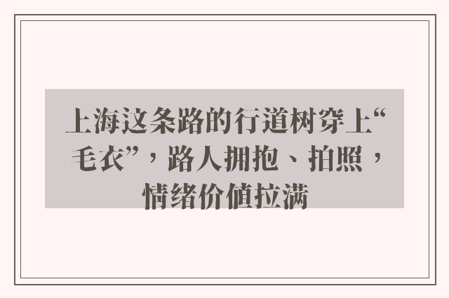 上海这条路的行道树穿上“毛衣”，路人拥抱、拍照，情绪价值拉满